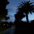 Stanford Campus at Night (palo-alto_100_8037.jpg) Palo Alto, San Fransico, Bay Area